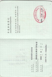 湖南天岳聯合會計師事務所 專業服務與行業貢獻